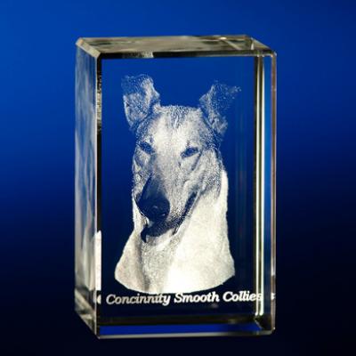 Collie