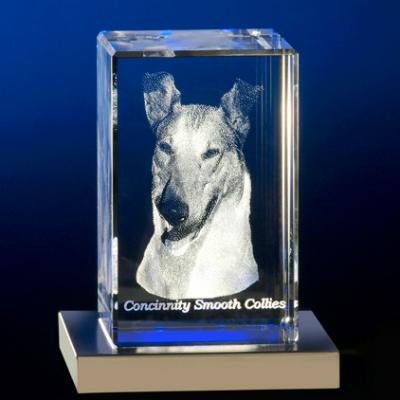 Collie
